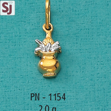 Fancy pendant pn-1154